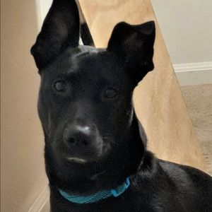 Meet your Posher, Bianca